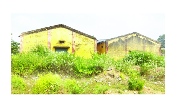 నిరుపయోగంగా ఎఎంసి గోడౌన్లు