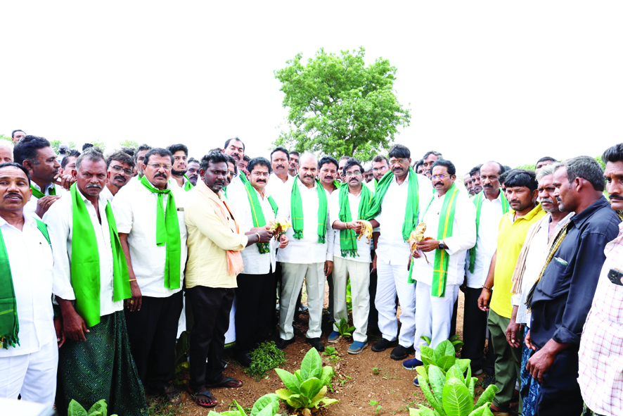 రైతును ముంచిన ప్రభుత్వం:టిడిపి