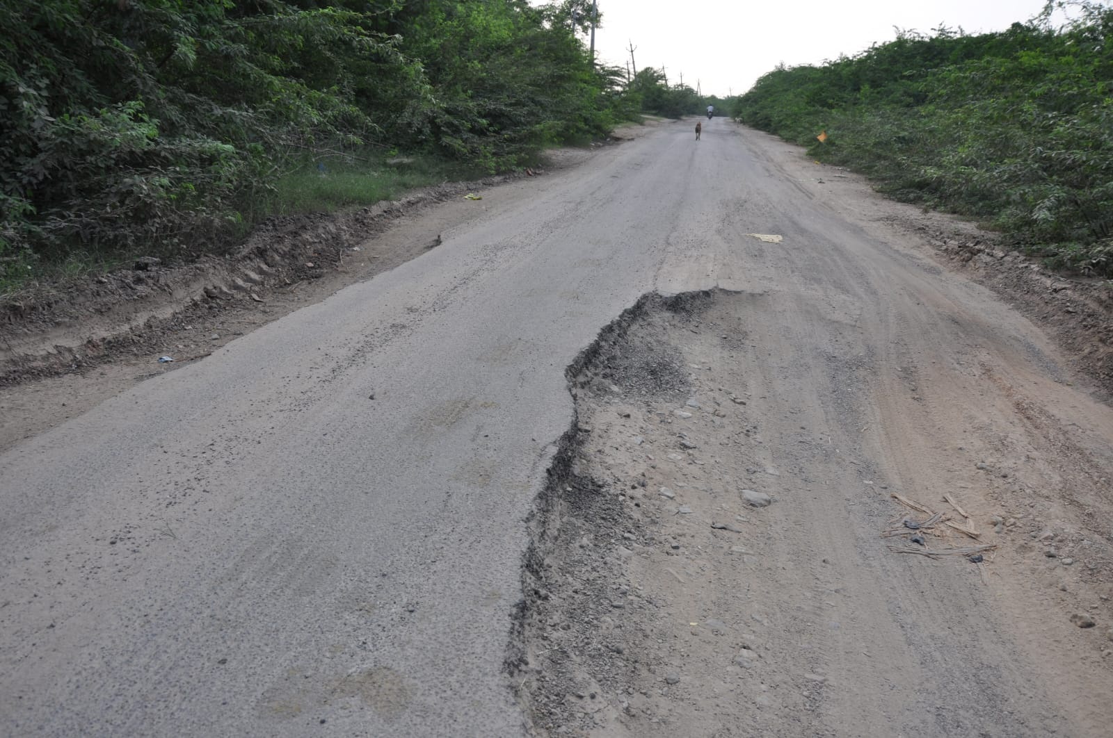 ఎనుగంత గుంతలు