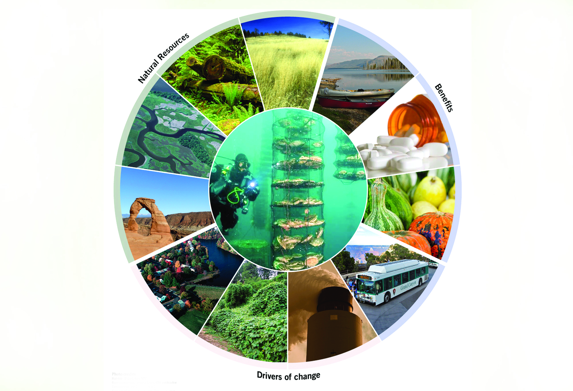 భవిష్యత్తుకు భరోసా.. జీవ వైవిధ్య సంరక్షణ..