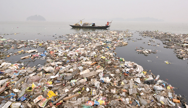 భవిష్యత్తుకు భరోసా.. జీవ వైవిధ్య సంరక్షణ..