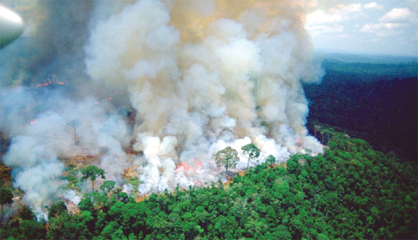 భవిష్యత్తుకు భరోసా.. జీవ వైవిధ్య సంరక్షణ..