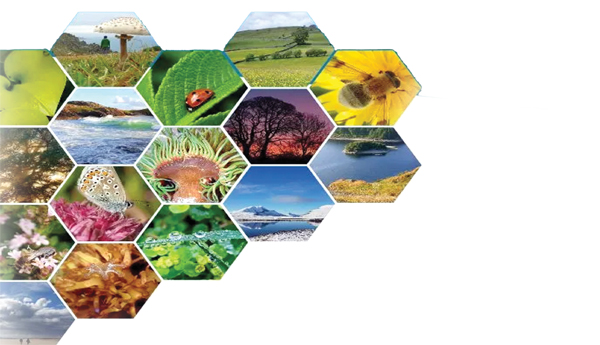 ఆందోళన కలిగించే గణాంకాలు..