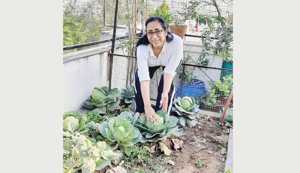  రీసైక్లింగ్‌ ట్రేల్లో 40 రకాల సాగు