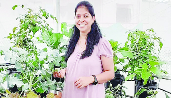  మేడమీద నీలి విప్లవం..