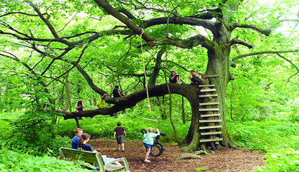 చింతాత.. జితా.. జితా.. !