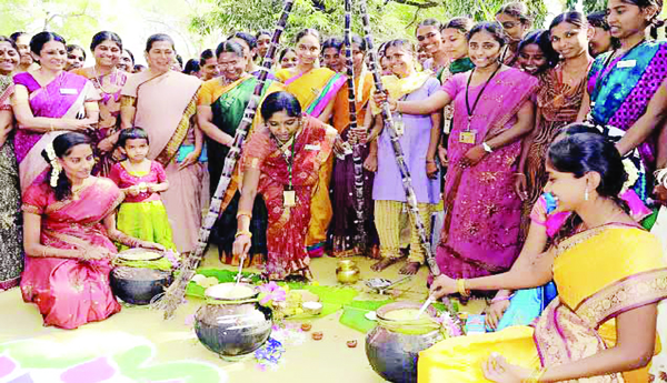 సంతోషాల సంక్రాంతి