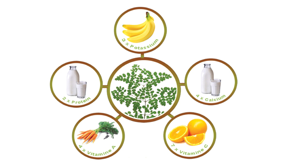 ఔషధగుణాలెన్నో..