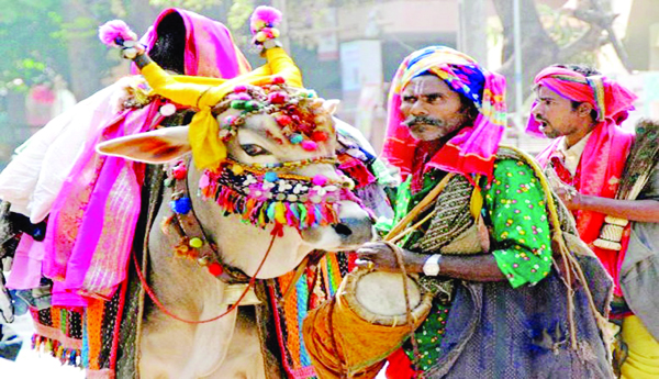 సంతోషాల సంక్రాంతి
