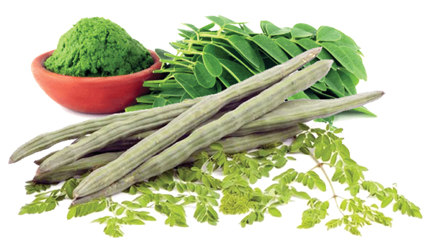 రకాలనేకం