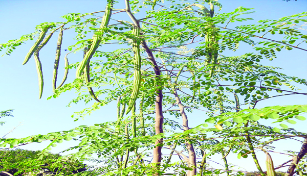 ఇంకా... ఇంకా...!