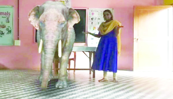 విజ్ఞాన జ్యోతి ఆచార్య