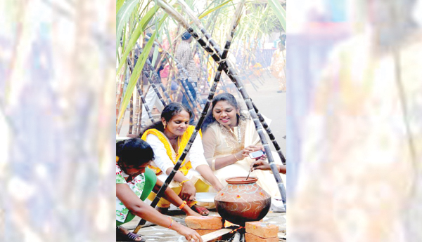 Sankranti-all-over-town