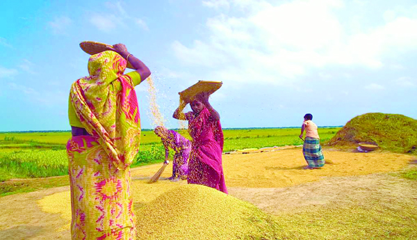 Sankranti-all-over-town