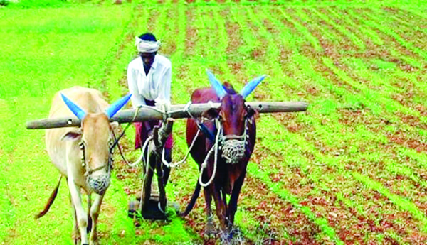 bahula jati samstalapaine..