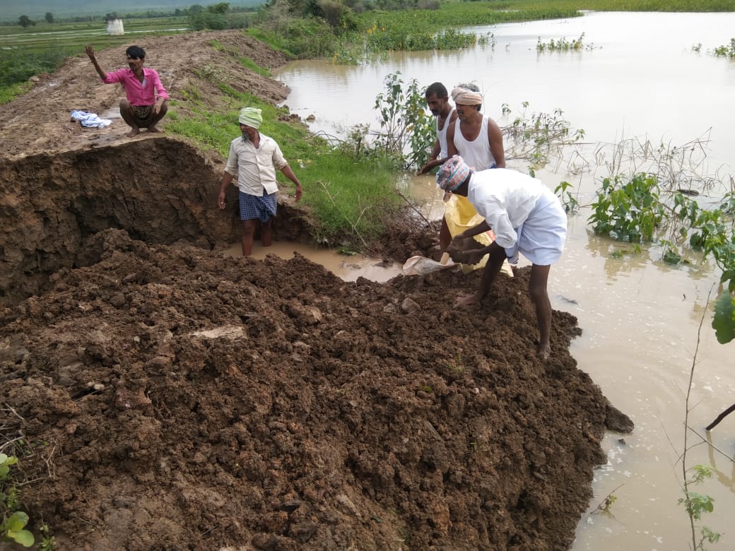 గండిని పూడ్చుతున్న రైతులు