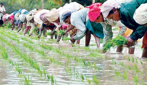 రైతు గణతంత్రం