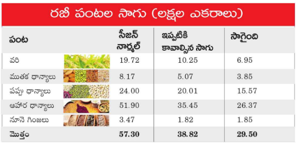 ప్రజాశక్తి ప్రత్యేక ప్రతినిధి- అమరావతి : ఈ తడవ రబీ సాగు జనవరి వచ్చినా పుంజుకోలేదు. అక్టోబర్లో సీజన్ మొదలుకాగా ఇప్పటికి మూడు మాసాలు గడిచిపోయాయి. అయినా సాగు బాగా నెమ్మదిగా సాగుతోంది.